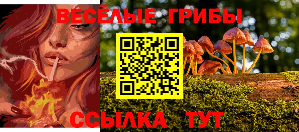 Карталы  Галлюциногенные грибы ЛСД  Вход с VPN 