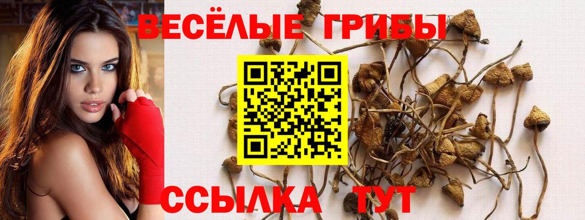 Псилоцибиновые грибы Magic Shrooms Карталы
